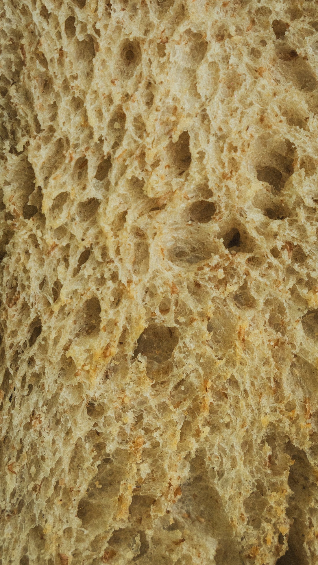 Inside of a loaf of bread.