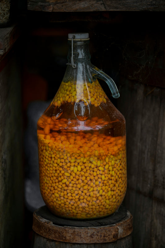 Glass jug filled with yellow seeds and liquid