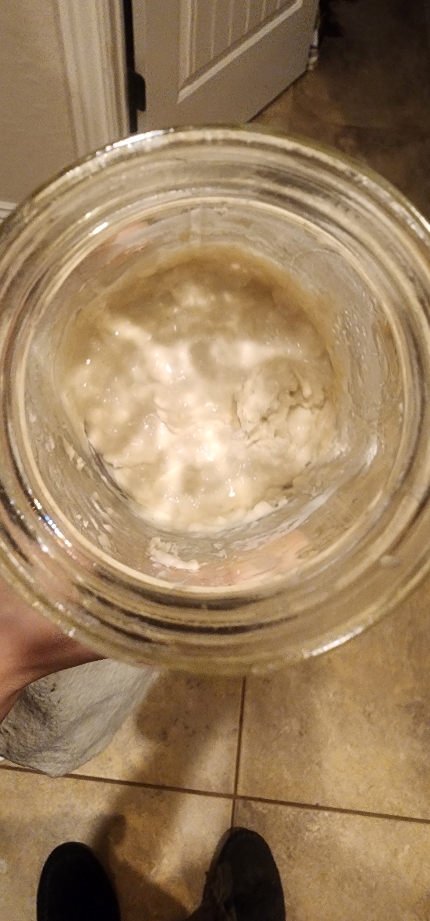 Nonna Bella Dehydrated Sourdough Starter – 10g Tuscan Heritage Culture Since the 1800s