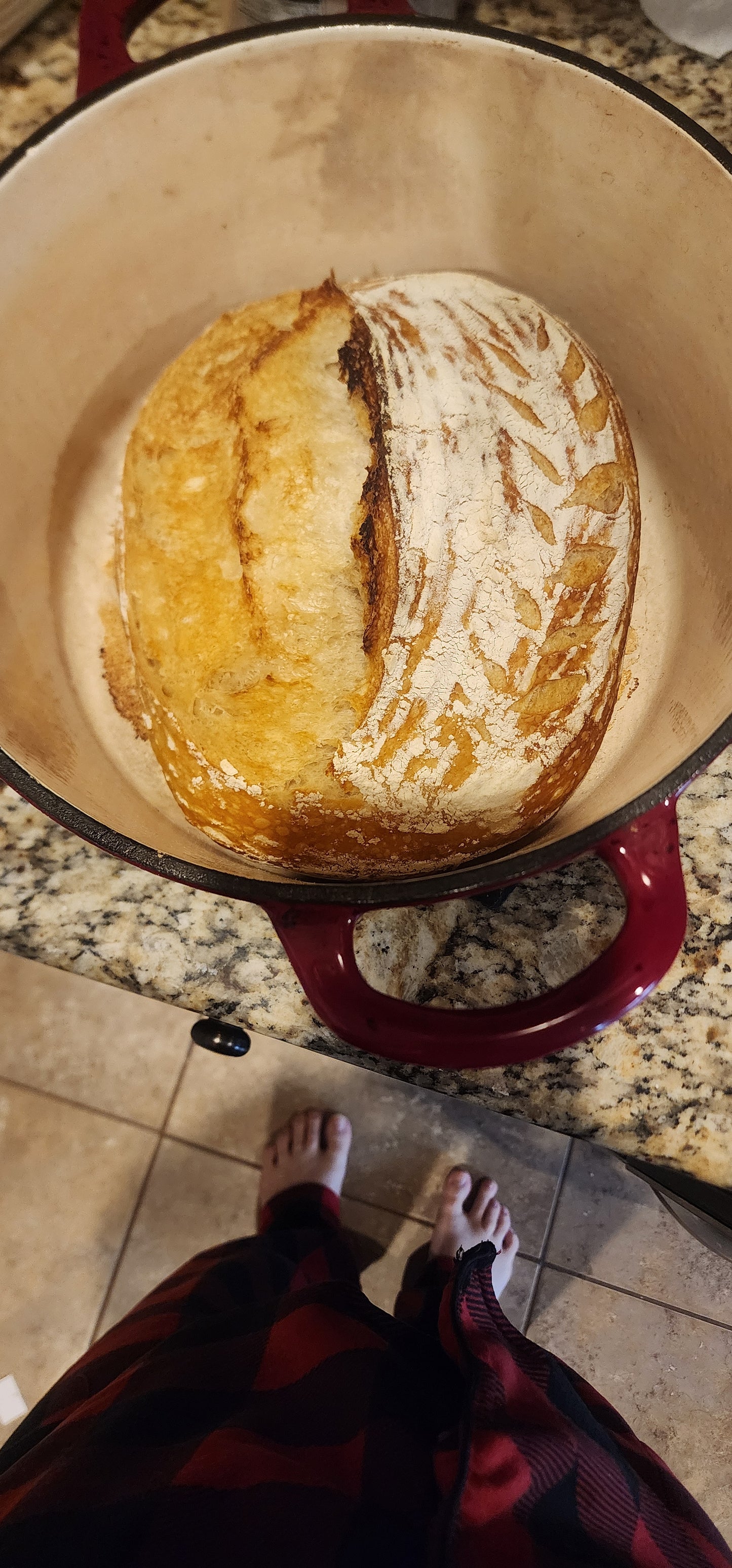Nonna Bella Dehydrated Sourdough Starter – 10g Tuscan Heritage Culture Since the 1800s