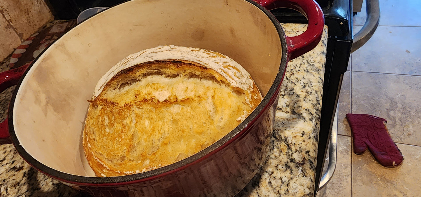 Nonna Bella Dehydrated Sourdough Starter – 10g Tuscan Heritage Culture Since the 1800s