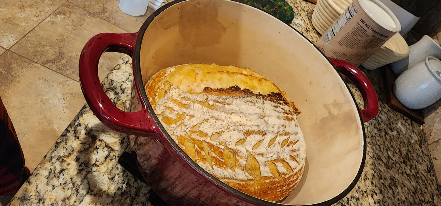 Nonna Bella Dehydrated Sourdough Starter – 10g Tuscan Heritage Culture Since the 1800s