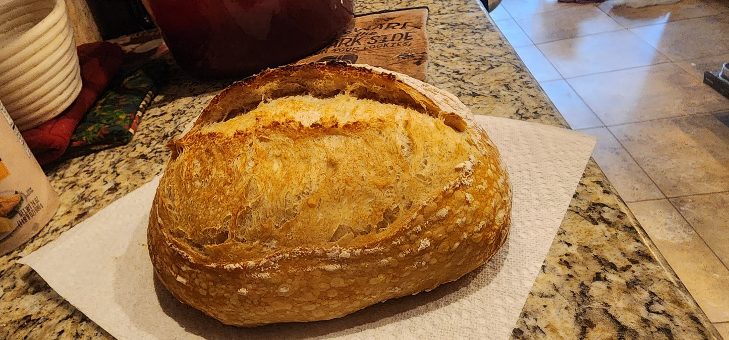 Nonna Bella Dehydrated Sourdough Starter – 10g Tuscan Heritage Culture Since the 1800s