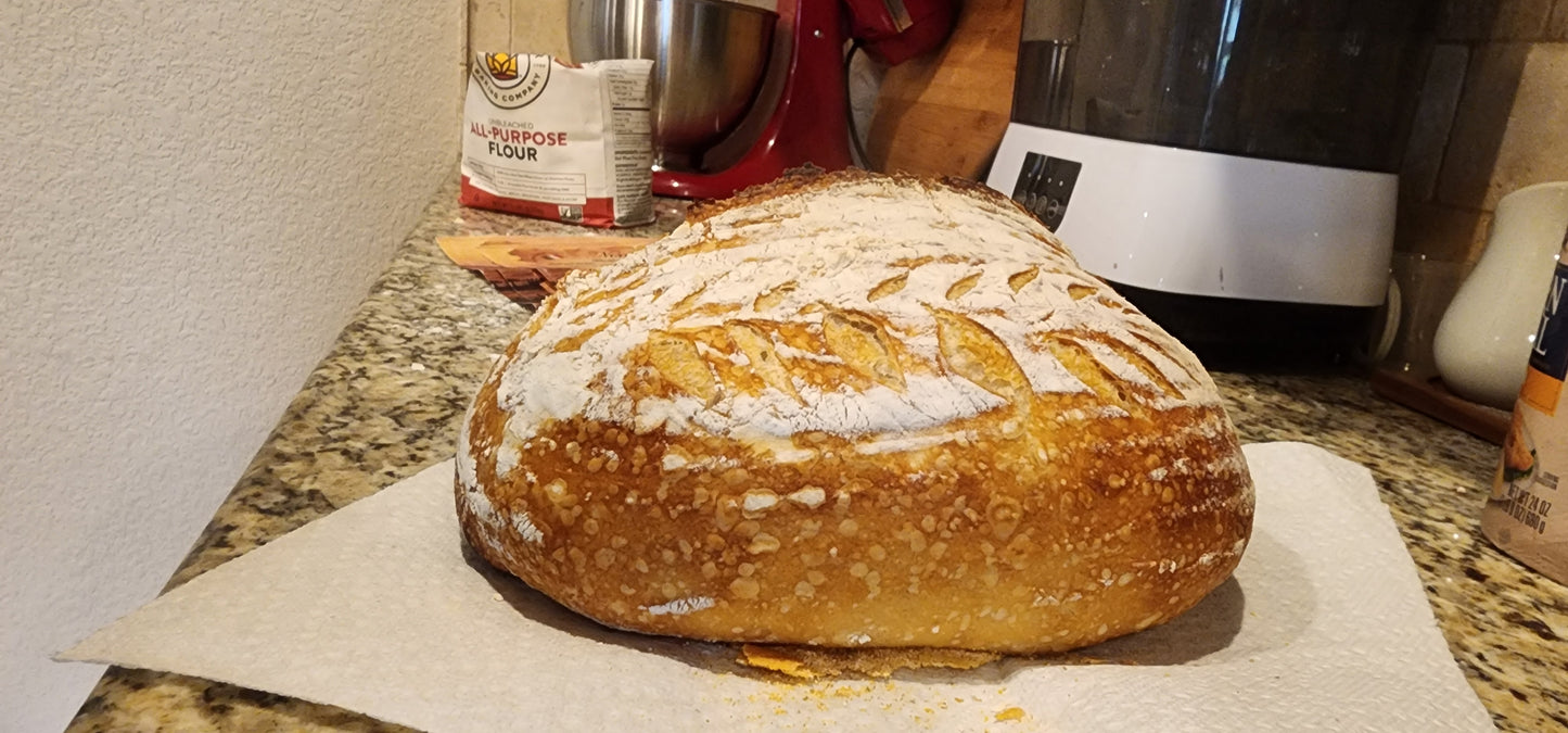 Nonna Bella Dehydrated Sourdough Starter – 10g Tuscan Heritage Culture Since the 1800s