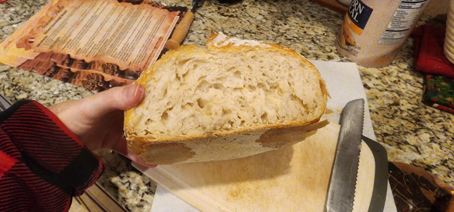 Nonna Bella Dehydrated Sourdough Starter – 10g Tuscan Heritage Culture Since the 1800s