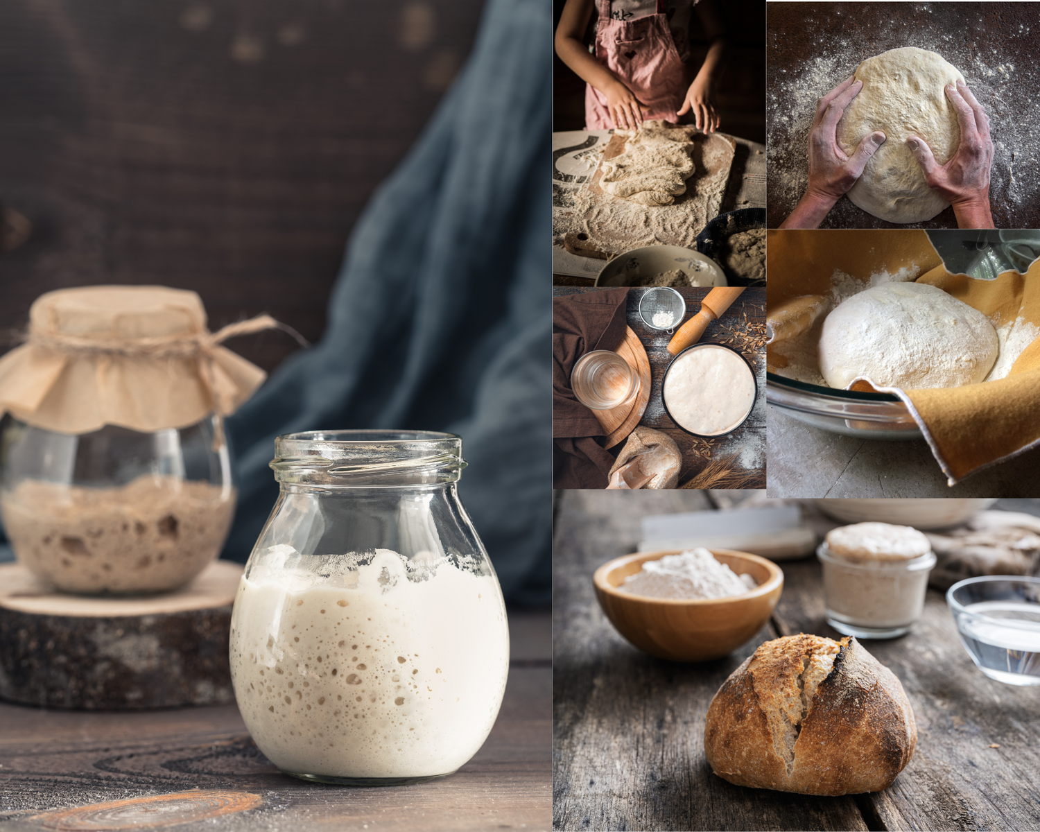 Nonna Bella Sourdough Starter